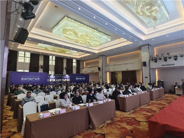 宣城汽配產(chǎn)業(yè)帶揚(yáng)帆出海，跨境電商專場對接賦能企業(yè)建站新篇